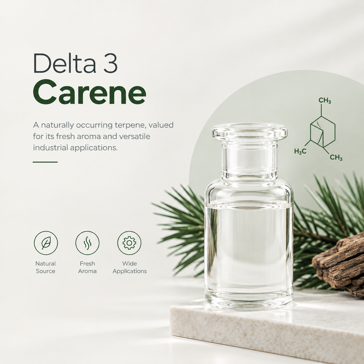 Delta 3 Carene